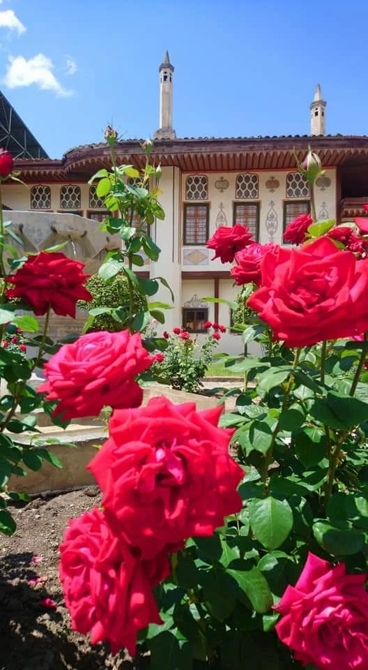 Фото 6