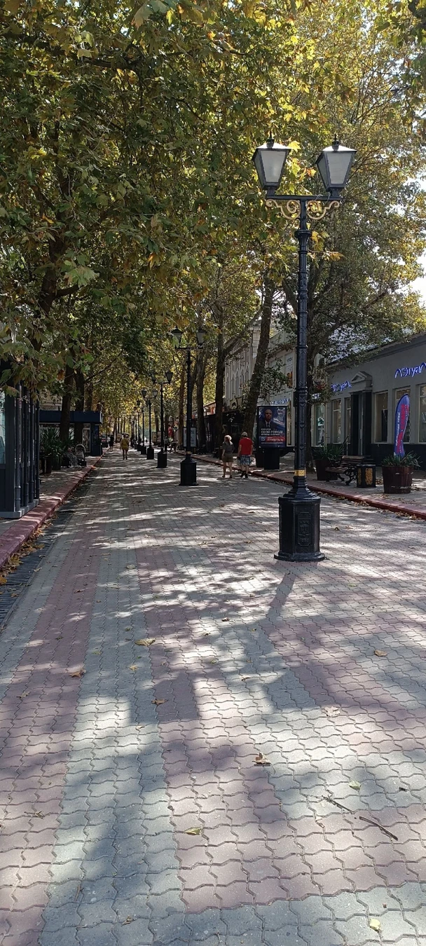 Фото 5