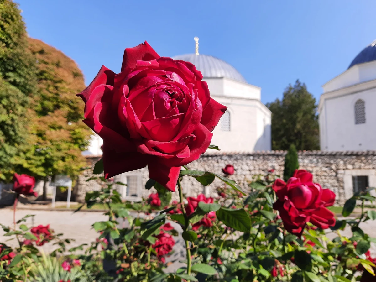 Фото 3