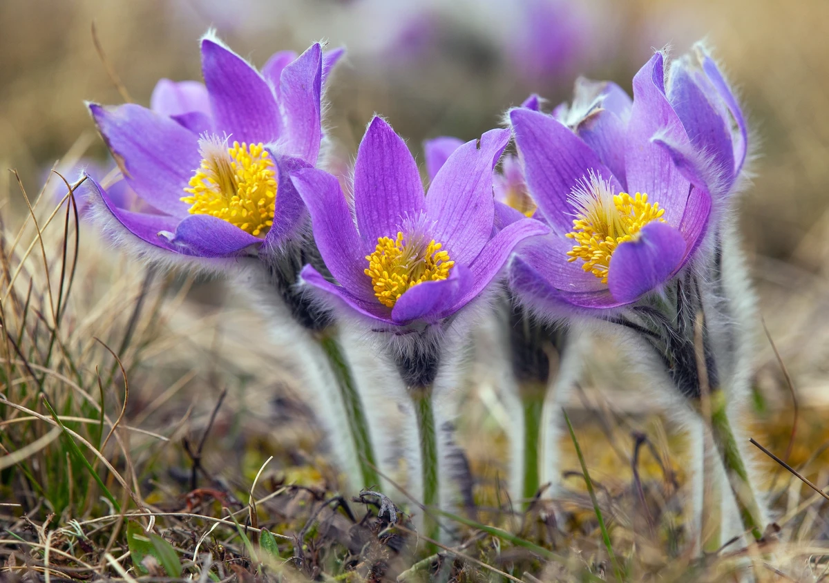 Фото 2