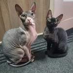 Юлия