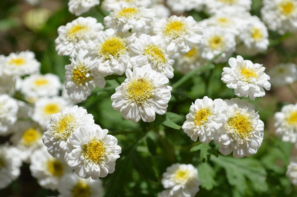 Фото 3